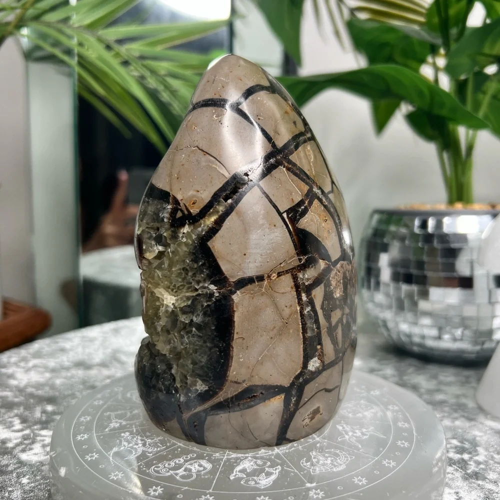 Septarian W Calcite Freeform- SF08 - Picture 4 of 4